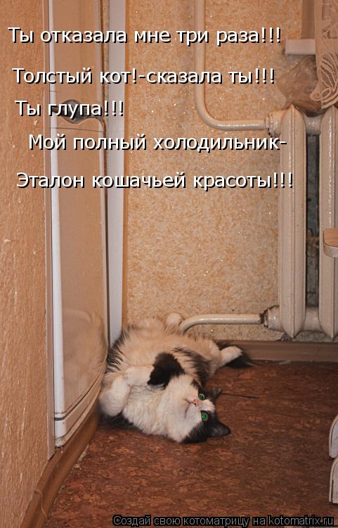 Ты отказала мне три раза!!! Толстый кот!-сказала ты!!! Эталон кошачьей красоты!!! Ты глупа!!! Мой пол... Котоматрица: Ты отказала мне три раза!!! Толстый кот!-сказала ты!!! Эталон кошачьей красоты!!! Ты глупа!!! Мой полный холодильник-