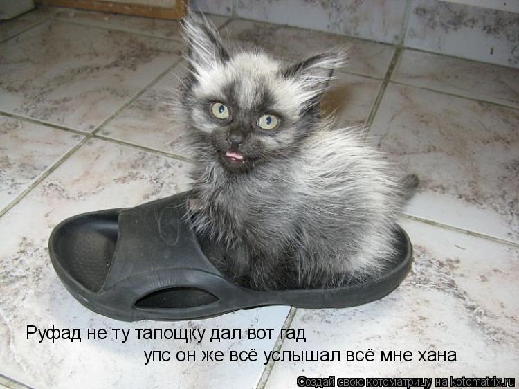Руфад не ту тапощку дал вот гад упс он же всё услышал всё мне хана... Котоматрица: Руфад не ту тапощку дал вот гад упс он же всё услышал всё мне хана