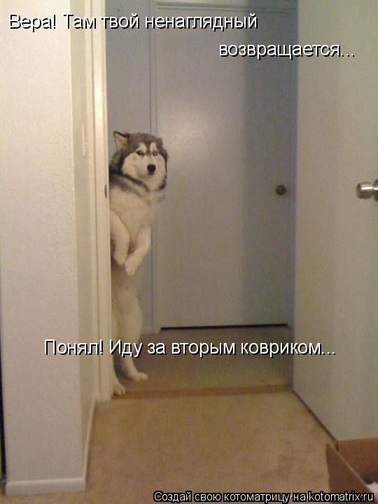 Вера! Там твой ненаглядный возвращается... Понял! Иду за вторым ковриком...... Котоматрица: Вера! Там твой ненаглядный возвращается... Понял! Иду за вторым ковриком...