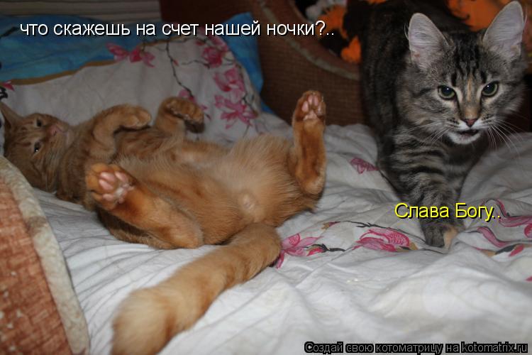 что скажешь на счет нашей ночки?.. Слава Богу..... Котоматрица: что скажешь на счет нашей ночки?.. Слава Богу..