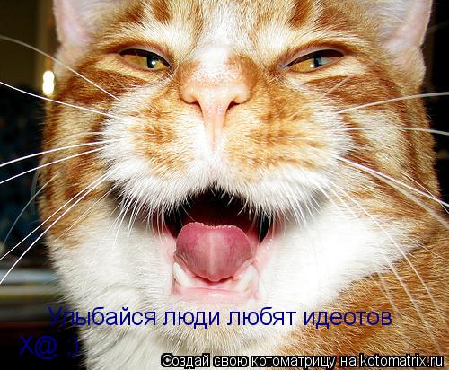 Улыбайся люди любят идеотов Х@ ;)... Котоматрица: Улыбайся люди любят идеотов Х@ ;)