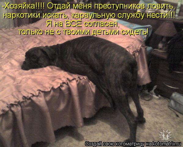 -Хозяйка!!!! Отдай меня преступников ловить, наркотики искать, караульную службу нести!!! Я на ВСЕ ... Котоматрица: -Хозяйка!!!! Отдай меня преступников ловить, наркотики искать, караульную службу нести!!! Я на ВСЕ согласен, только не с твоими детьми сидеть