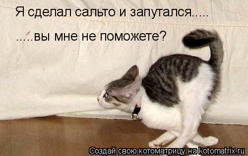 Я сделал сальто и запутался..... .....вы мне не поможете?... Котоматрица: Я сделал сальто и запутался..... .....вы мне не поможете?
