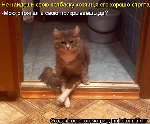 Не найдешь свою колбаску хозяин,я его хорошо спрятал -Мою спрятал а свою прикрываешь да?... Котоматрица: Не найдешь свою колбаску хозяин,я его хорошо спрятал -Мою спрятал а свою прикрываешь да?