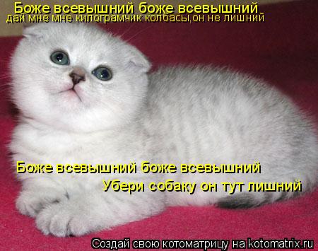 Боже всевышний боже всевышний дай мне мне килограмчик колбасы,он не лишний Боже всевышний боже всевыш... Котоматрица: Боже всевышний боже всевышний дай мне мне килограмчик колбасы,он не лишний Боже всевышний боже всевышний Убери собаку он тут лишний