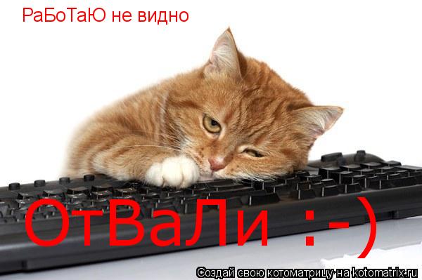 РаБоТаЮ не видно ОтВаЛи :-)... Котоматрица: РаБоТаЮ не видно ОтВаЛи :-)