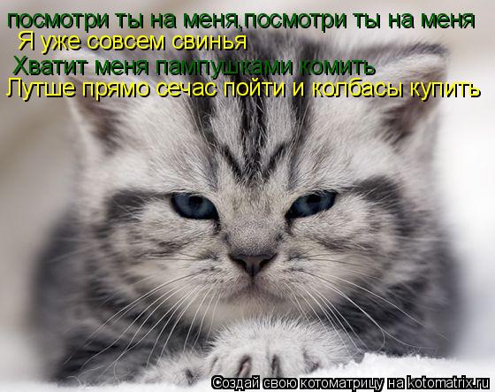 посмотри ты на меня,посмотри ты на меня Я уже совсем свинья Хватит меня пампушками комить Лутше прямо... Котоматрица: посмотри ты на меня,посмотри ты на меня Я уже совсем свинья Хватит меня пампушками комить Лутше прямо сечас пойти и колбасы купить