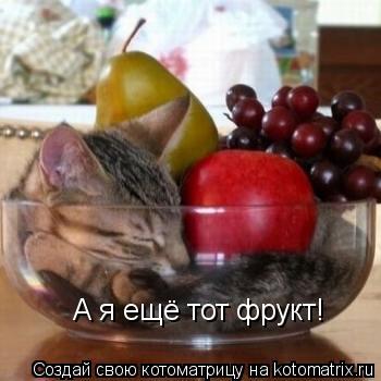 А я ещё тот фрукт!... Котоматрица: А я ещё тот фрукт!