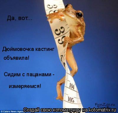 Да, вот... Дюймовочка кастинг объявила! Сидим с пацанами - измеряемся!... Котоматрица: Да, вот... Дюймовочка кастинг объявила! Сидим с пацанами - измеряемся!