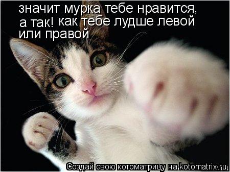 значит мурка тебе нравится а так! как тебе лудше левой , или правой... Котоматрица: значит мурка тебе нравится а так! как тебе лудше левой , или правой