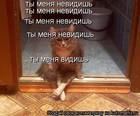 ты меня невидишь ты меня невидишь ты меня невидишь ты меня невидишь ты меня видишь... Котоматрица: ты меня невидишь ты меня невидишь ты меня невидишь ты меня невидишь ты меня видишь