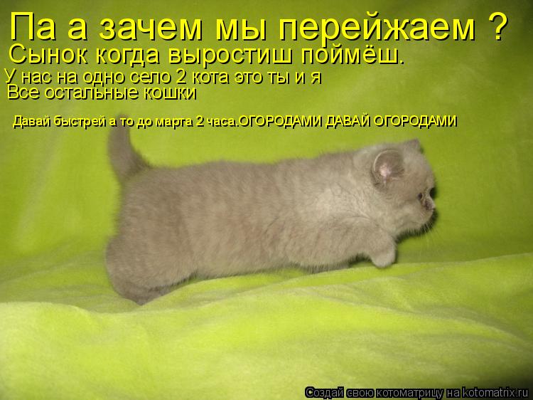 Па а зачем мы перейжаем ? Сынок когда выростиш поймёш. У нас на одно село 2 кота это ты и я Все остал... Котоматрица: Па а зачем мы перейжаем ? Сынок когда выростиш поймёш. У нас на одно село 2 кота это ты и я Все остальные кошки Давай быстрей а то до марта 2 час