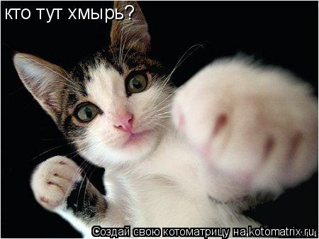 кто тут хмырь?... Котоматрица: кто тут хмырь?