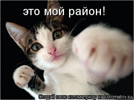 это мой район!... Котоматрица: это мой район!