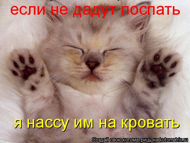 если не дадут поспать я нассу им на кровать я нассу им на кровать... Котоматрица: если не дадут поспать я нассу им на кровать я нассу им на кровать