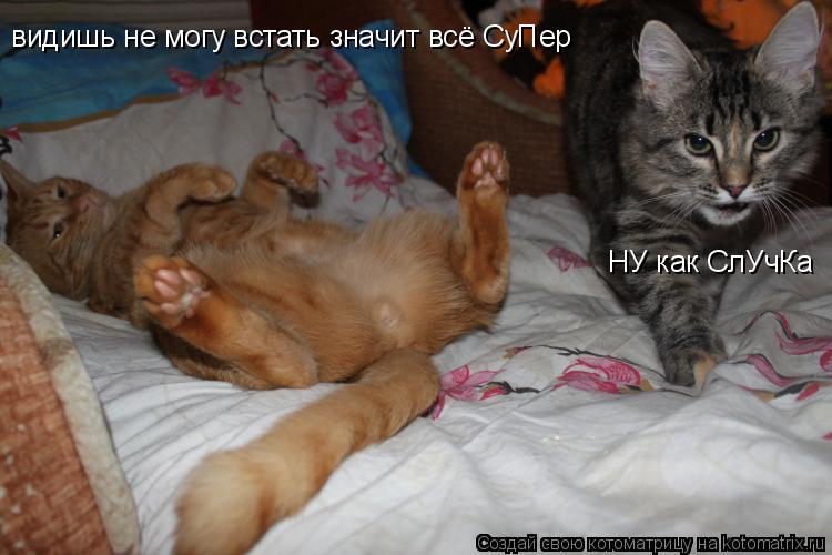 НУ как СлУчКа видишь не могу встать значит всё СуПер... Котоматрица: НУ как СлУчКа видишь не могу встать значит всё СуПер