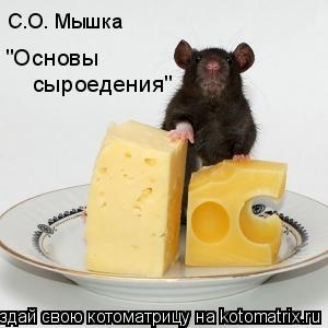 С.О. Мышка "Основы сыроедения"... Котоматрица: С.О. Мышка "Основы сыроедения"