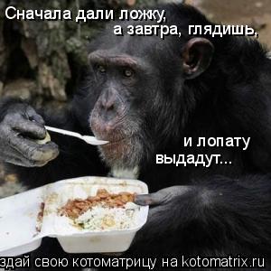 Сначала дали ложку, а завтра, глядишь, и лопату выдадут...... Котоматрица: Сначала дали ложку, а завтра, глядишь, и лопату выдадут...