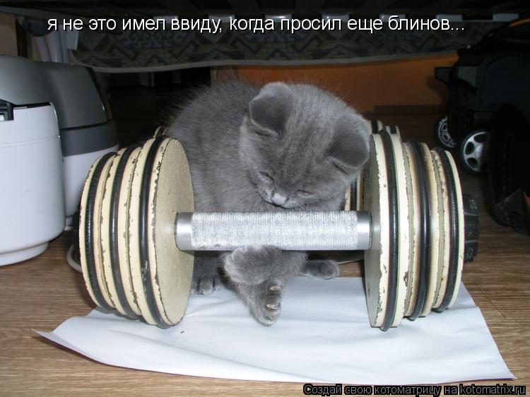 я не это имел ввиду, когда просил еще блинов...... Котоматрица: я не это имел ввиду, когда просил еще блинов...