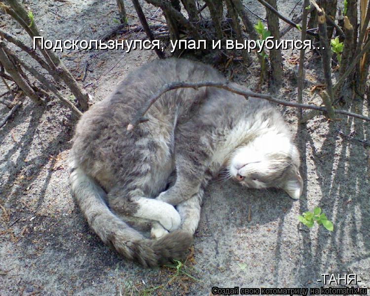 Котоматрица: Подскользнулся, упал и вырубился... -ТАНЯ-