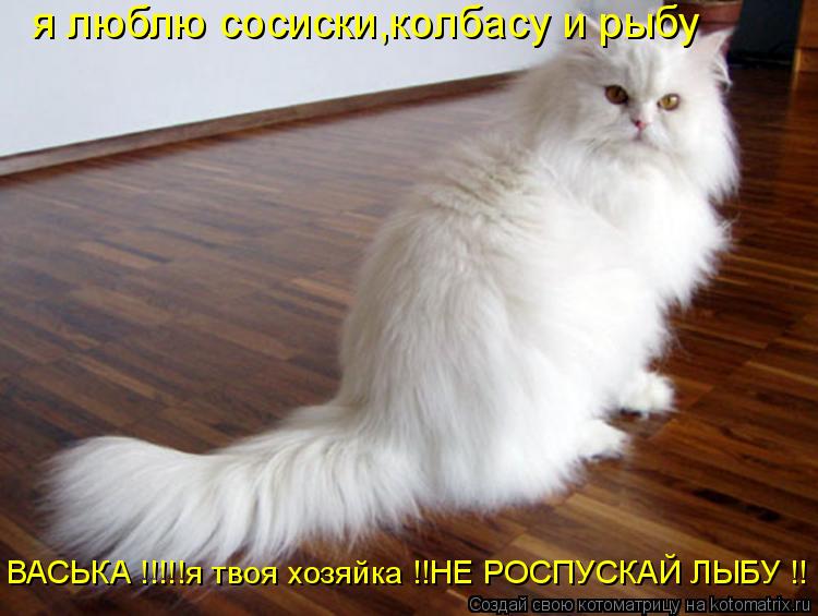 я люблю сосиски,колбасу и рыбу ВАСЬКА !!!!!я твоя хозяйка !!НЕ РОСПУСКАЙ ЛЫБУ !!... Котоматрица: я люблю сосиски,колбасу и рыбу ВАСЬКА !!!!!я твоя хозяйка !!НЕ РОСПУСКАЙ ЛЫБУ !!