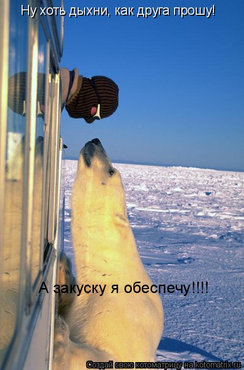 Ну хоть дыхни, как друга прошу! А закуску я обеспечу!!!!... Котоматрица: Ну хоть дыхни, как друга прошу! А закуску я обеспечу!!!!