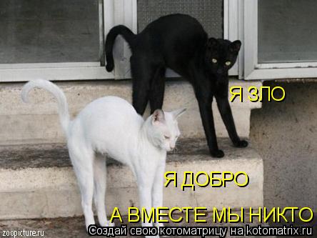 Я ДОБРО Я ЗЛО А ВМЕСТЕ МЫ НИКТО... Котоматрица: Я ДОБРО Я ЗЛО А ВМЕСТЕ МЫ НИКТО