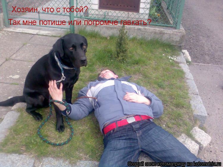 Котоматрица: Хозяин, что с тобой? Так мне потише или погромче гавкать?