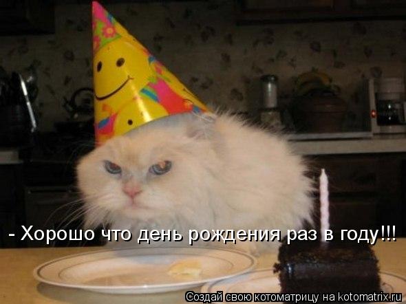 Котоматрица: - Хорошо что день рождения раз в году!!!