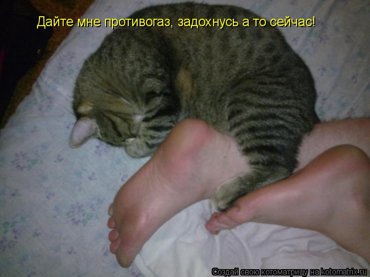 Котоматрица: Дайте мне противогаз, задохнусь а то сейчас!