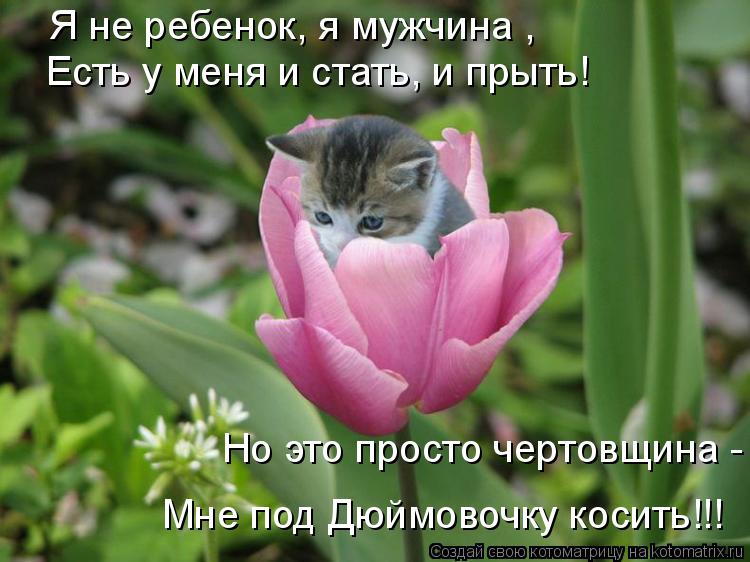 Котоматрица: Я не ребенок, я мужчина ,  Есть у меня и стать, и прыть! Но это просто чертовщина -  Мне под Дюймовочку косить!!!