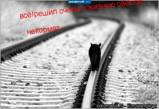 Котоматрица: всё!решил счёты с жизнью свести! некормят