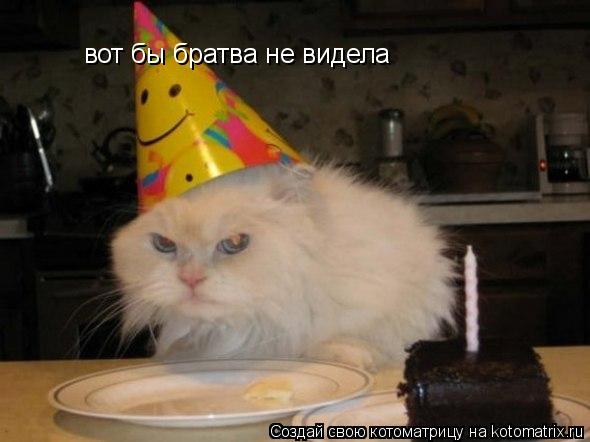 вот бы братва не видела... Котоматрица: вот бы братва не видела