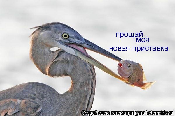 прощай , моя новая приставка... Котоматрица: прощай , моя новая приставка