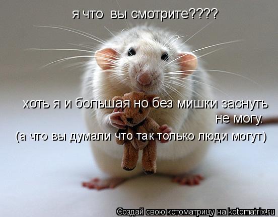 я что вы смотрите???? хоть я и большая но без мишки заснуть не могу. (а что вы думали что так только... Котоматрица: я что вы смотрите???? хоть я и большая но без мишки заснуть не могу. (а что вы думали что так только люди могут)