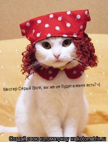 Мистер Серый Волк, вы же не будите меня есть?=)... Котоматрица: Мистер Серый Волк, вы же не будите меня есть?=)