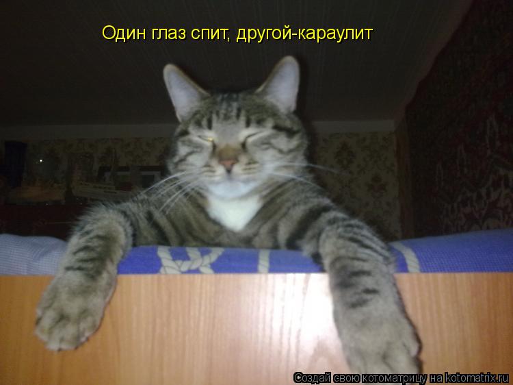 Один глаз спит, другой-караулит... Котоматрица: Один глаз спит, другой-караулит