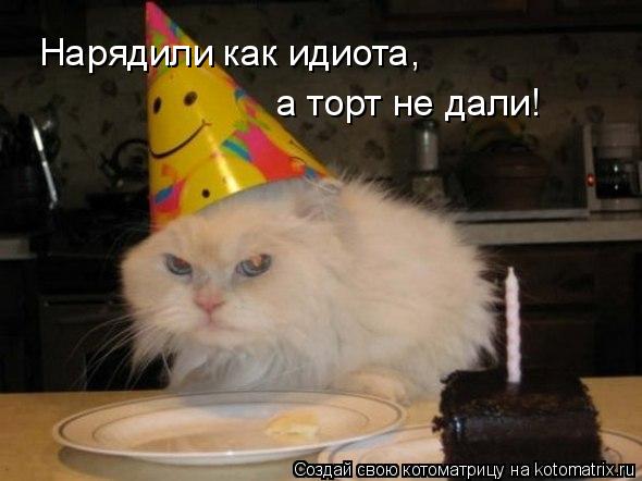 Нарядили как идиота, а торт не дали!... Котоматрица: Нарядили как идиота, а торт не дали!