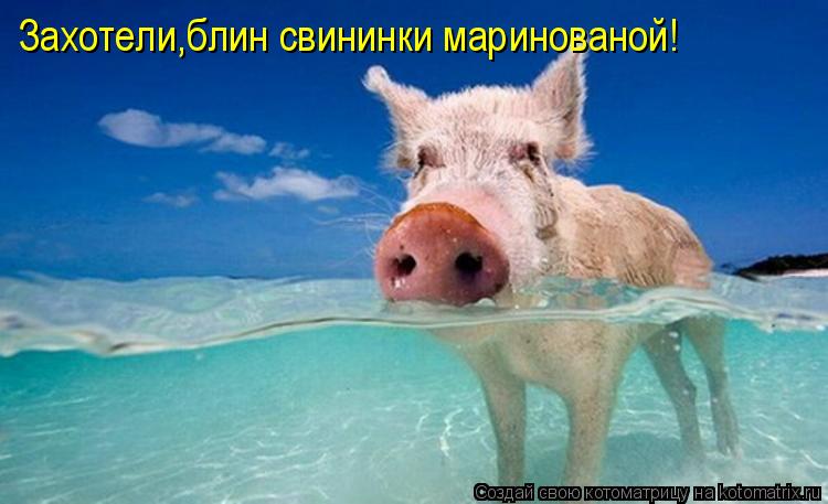 Захотели,блин свининки маринованой!... Котоматрица: Захотели,блин свининки маринованой!