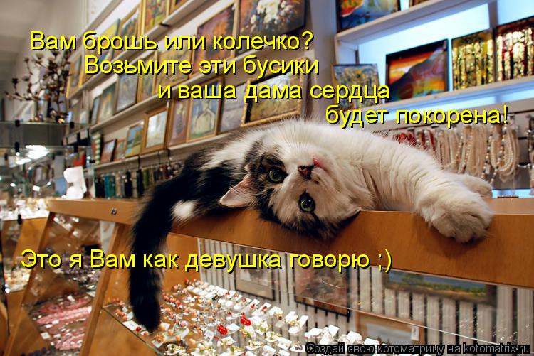 Вам брошь или колечко? Возьмите эти бусики и ваша дама сердца будет покорена! Это я Вам как девушка ... Котоматрица: Вам брошь или колечко? Возьмите эти бусики и ваша дама сердца будет покорена! Это я Вам как девушка говорю ;)
