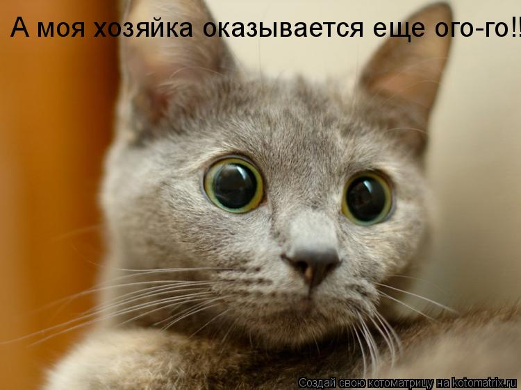 А моя хозяйка оказывается еще ого-го!!!... Котоматрица: А моя хозяйка оказывается еще ого-го!!!
