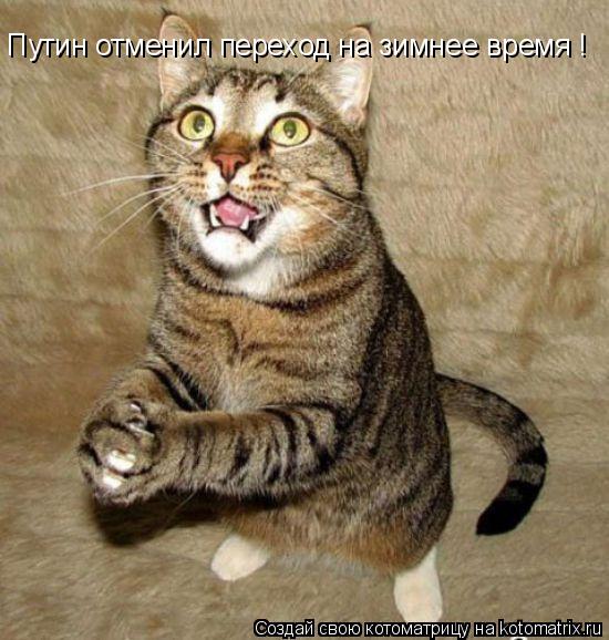 Путин отменил переход на зимнее время ! Пожалуйста верни зимнее время =(((... Котоматрица: Путин отменил переход на зимнее время ! Пожалуйста верни зимнее время =(((