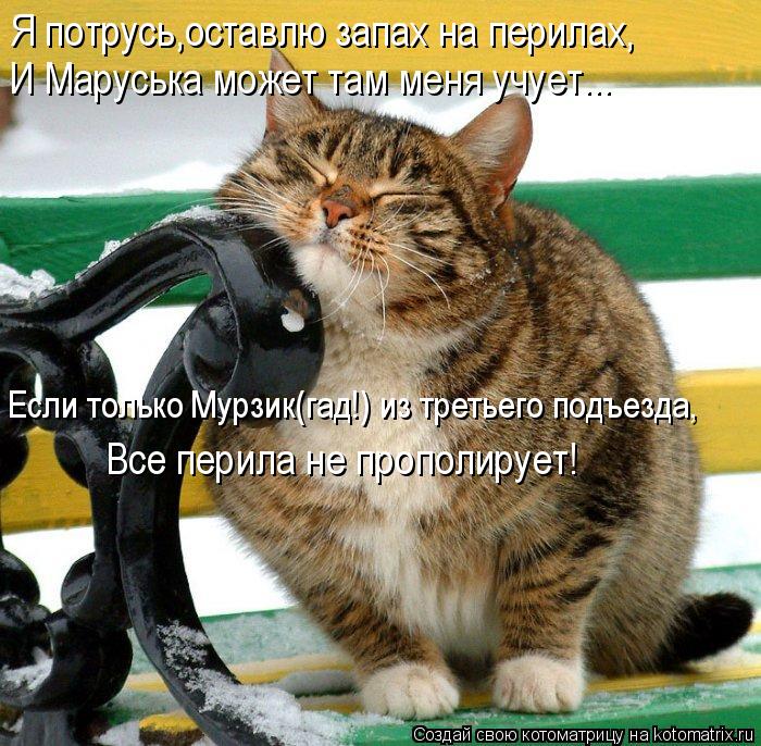 Я потрусь,оставлю запах на перилах, И Маруська может там меня учует... Если только Мурзик(гад!) из тр... Котоматрица: Я потрусь,оставлю запах на перилах, И Маруська может там меня учует... Если только Мурзик(гад!) из третьего подъезда, Все перила не прополируе