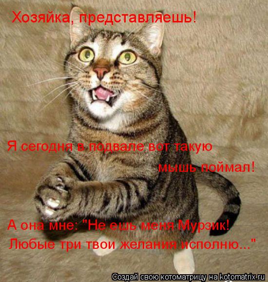 Хозяйка, представляешь! Я сегодня в подвале вот такую мышь поймал! А она мне: "Не ешь меня Мурзик! Лю... Котоматрица: Хозяйка, представляешь! Я сегодня в подвале вот такую мышь поймал! А она мне: "Не ешь меня Мурзик! Любые три твои желания исполню..."