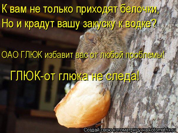 К вам не только приходят белочки, Но и крадут вашу закуску к водке? ОАО ГЛЮК избавит вас от любой про... Котоматрица: К вам не только приходят белочки, Но и крадут вашу закуску к водке? ОАО ГЛЮК избавит вас от любой проблемы! ГЛЮК-от глюка не следа!