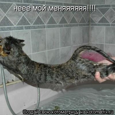 неее мой меняяяяяя!!!!... Котоматрица: неее мой меняяяяяя!!!!