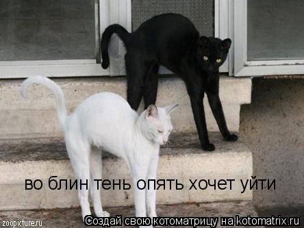 во блин тень опять хочет уйти... Котоматрица: во блин тень опять хочет уйти