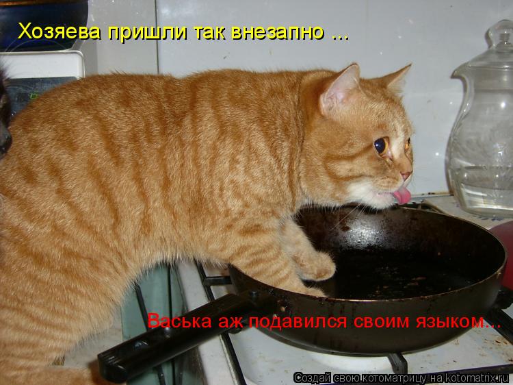 Хозяева пришли так внезапно ... Васька аж подавился своим языком...... Котоматрица: Хозяева пришли так внезапно ... Васька аж подавился своим языком...