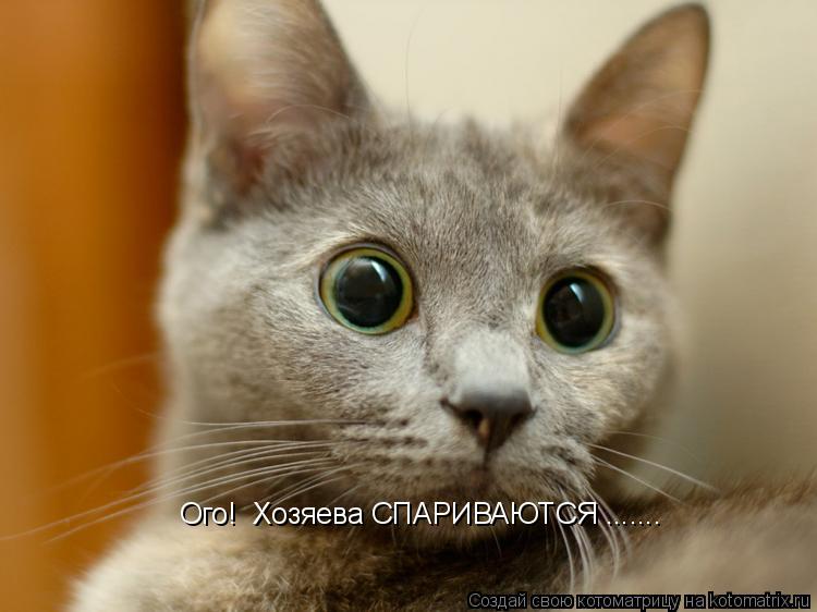 Ого! Хозяева СПАРИВАЮТСЯ .......... Котоматрица: Ого! Хозяева СПАРИВАЮТСЯ .......