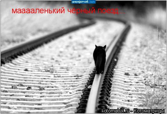 мааааленький чёрный поезд...... Котоматрица: мааааленький чёрный поезд...